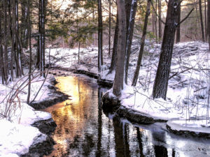 Gilded Stream by Sandy Renna