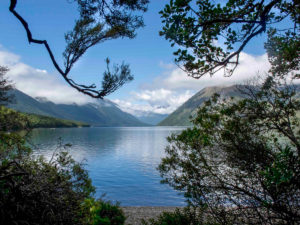 New Zealand Lakeside View by Sandy Renna