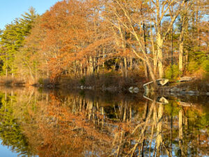 Hastings Pond, Fall Reflections