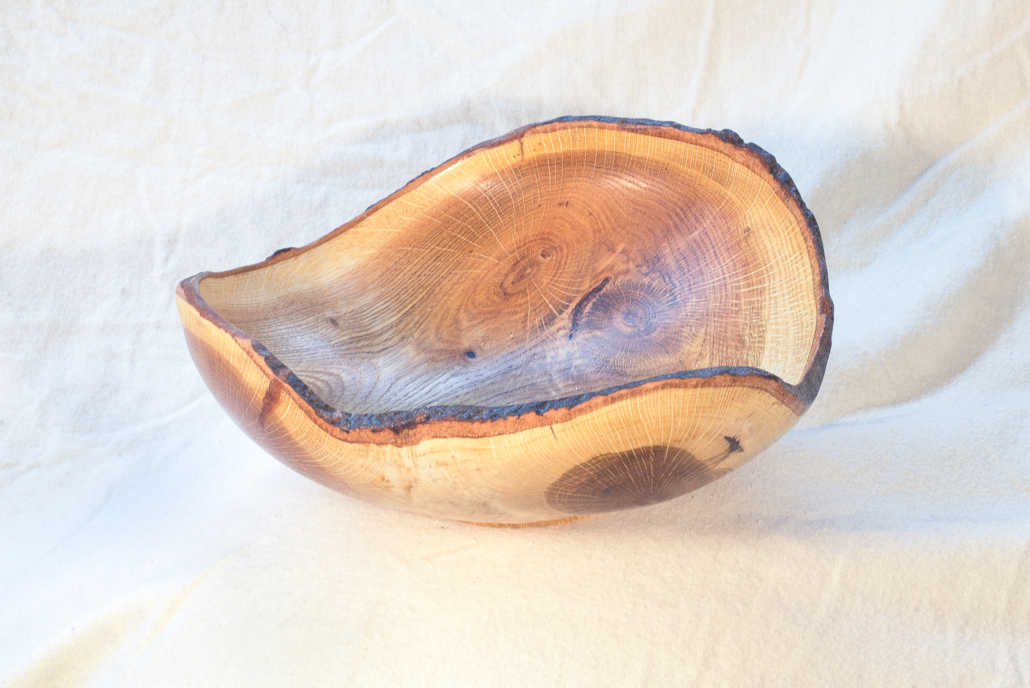 Oak, 11 x 3 inches by Sandy Renna